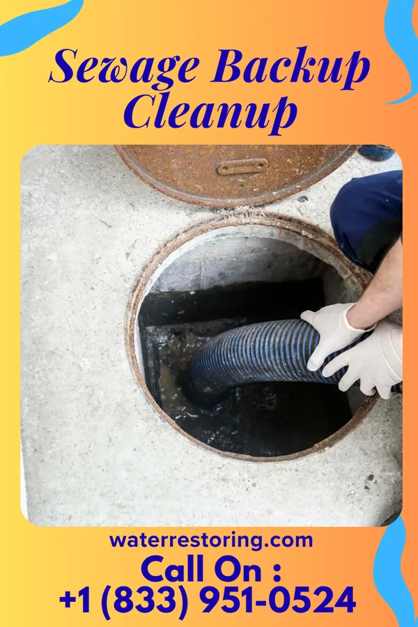Sewage Backup Cleanup in Alafaya, FL